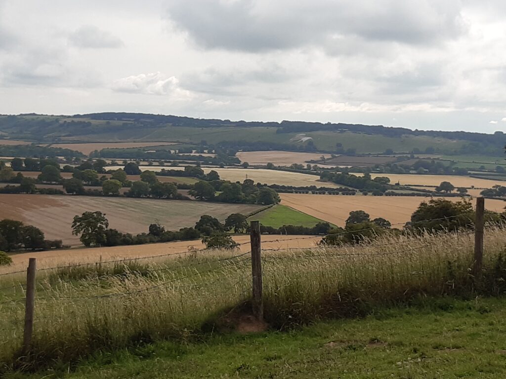 Whipsnade White Lion, Ivinghoe Beacon