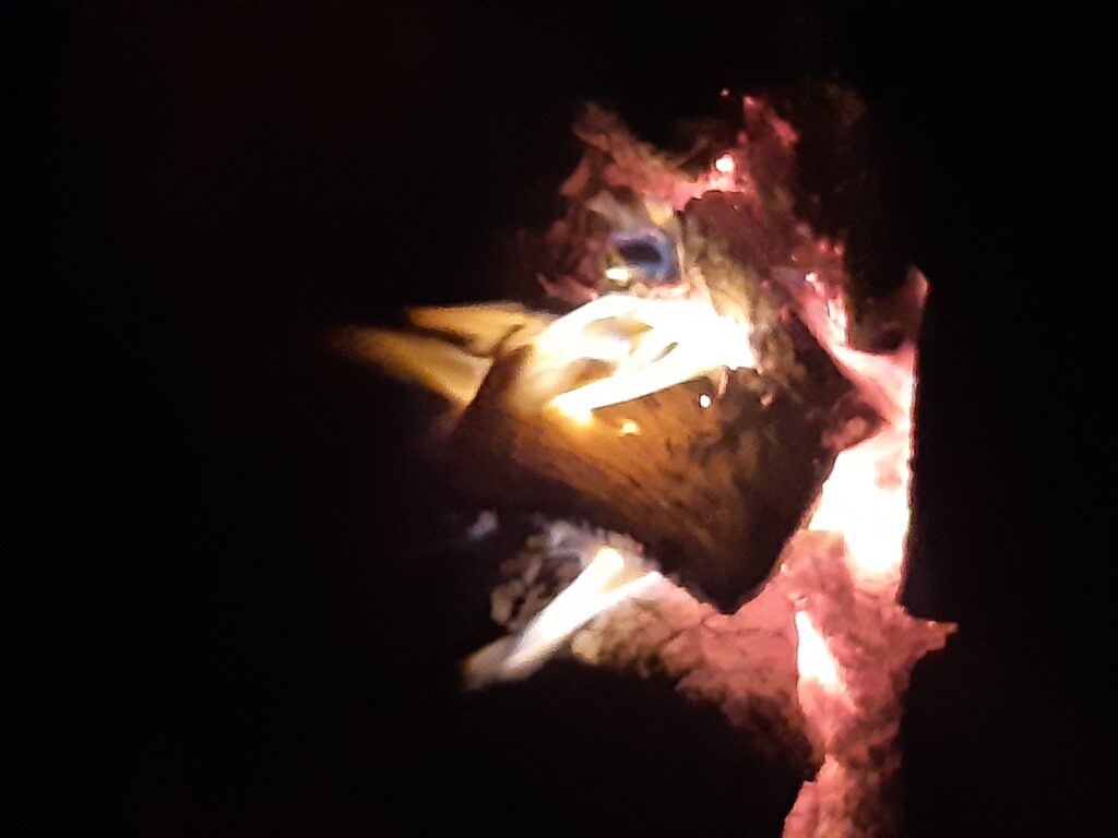 Sitting around campfire with Darren and Grant (and 200 hippies)