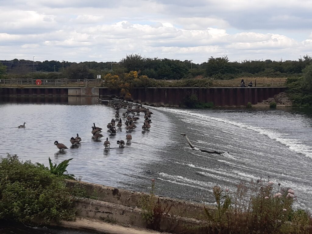 Duck slide, Jubilee River Path