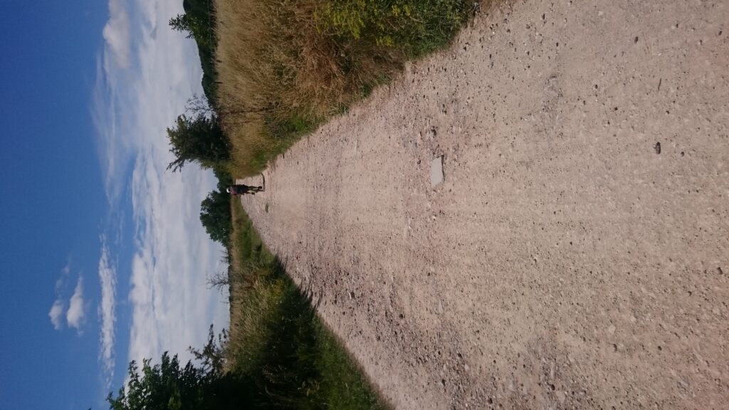 Gravel, Groad, Grave, Gnarmac, Dirt, Loose!