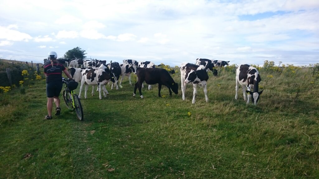 Not the normal reason you'll see me hike-a-bike