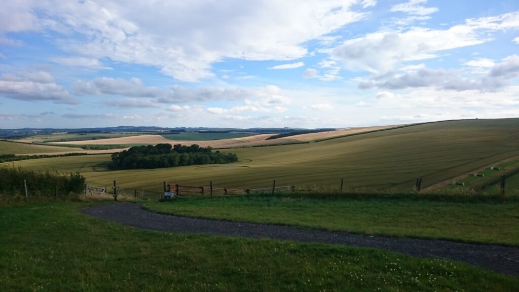 Mal didn't notice this but, look, it's a crop circle!