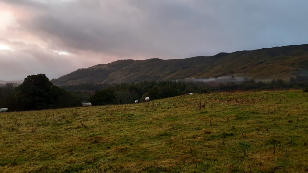 Wakey wakey hands off snakey