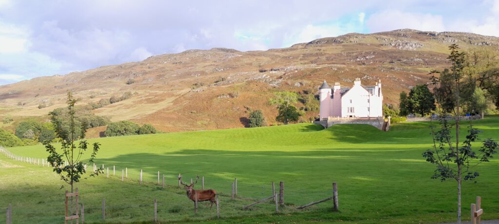 Pink Party Palace Presented Problems for Progress