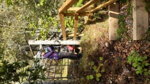 Blocker not showstopper