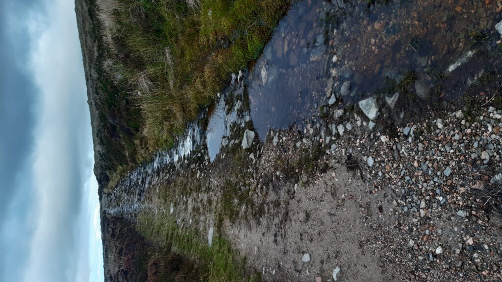 I do not enjoy the tonne of hike-a-bike through this wet trail