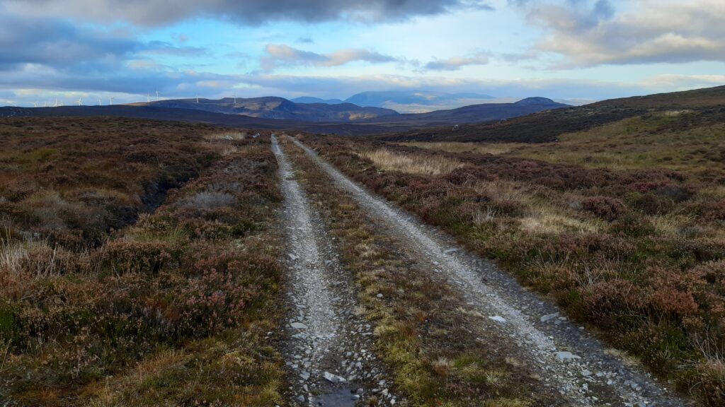 Thankfully after turning a corner the trail dries out and doubles up