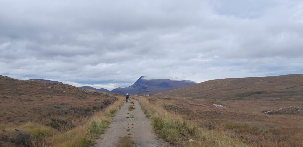 Has anyone seen the 'remote'?