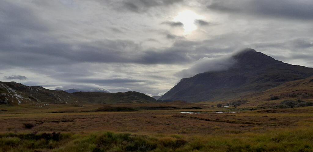 Scotland just keeps on giving... 