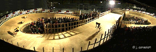 Human Powered Velodrome
