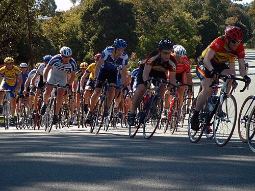 Glenvale C Grade Bunch
