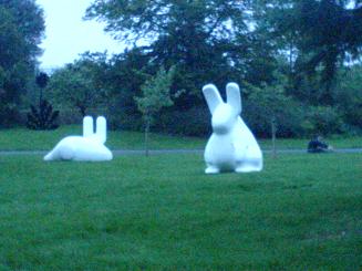Large white rabbits in Regent's caught my eye