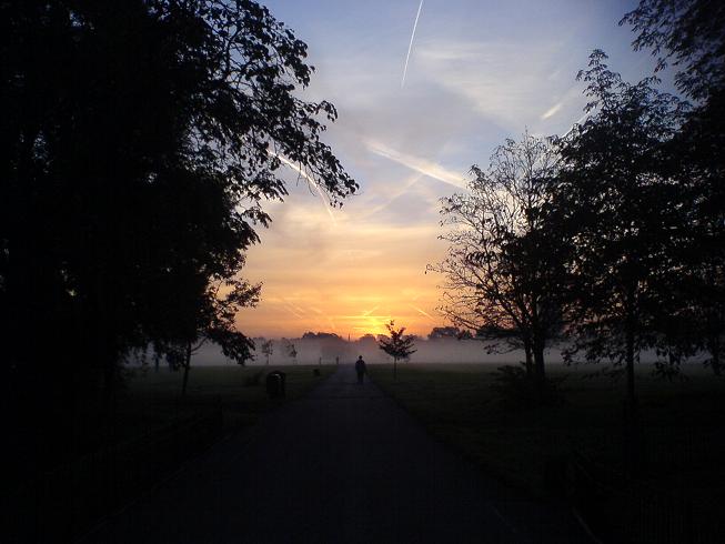 A foggy Regents Park with a lovely sunrise over the city