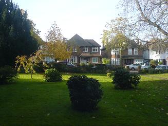 View from the front window