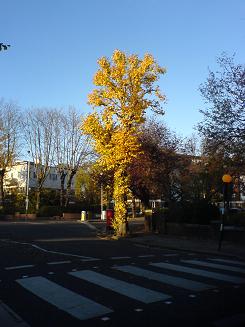 London's weather is all over the shop