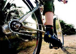 Single Speed Bicycle Single Speed Bicycle