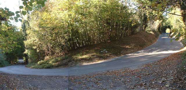 Surrey Hills - Composite photo of the corner at Combe Bottom, www.herneweb.com