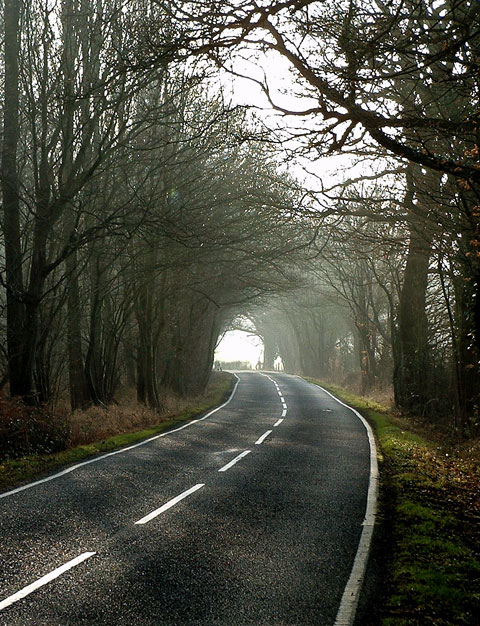 Surrey Hills - The view toward East Clandon coming down from Combe Bottom, www.herneweb.com