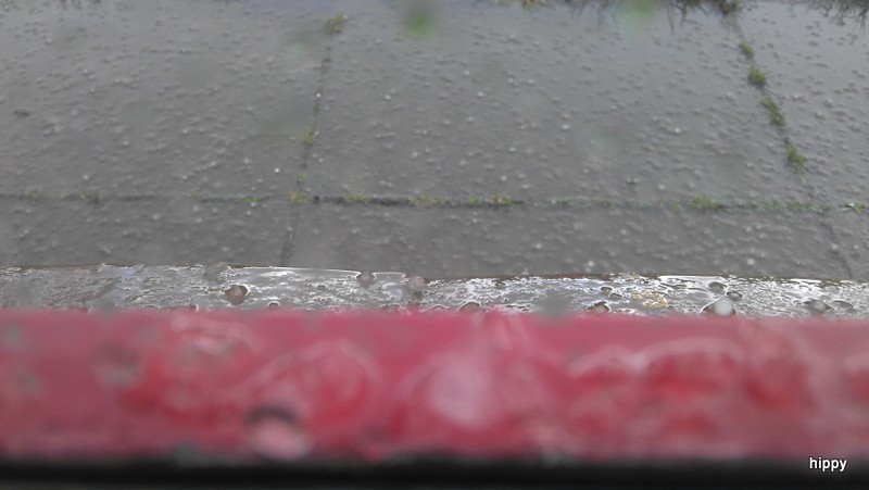 Pete Jarvis Memorial 25 - Hail